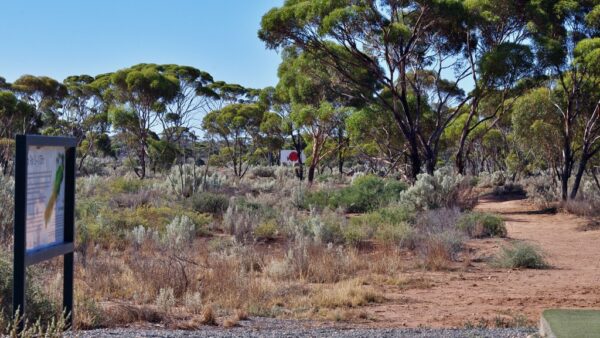 The World S Longest Golf Course The Nullarbor Links Finchy S Australia