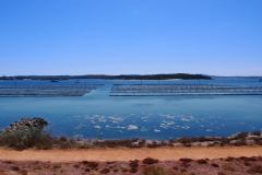 Coffin Bay Oyster beds coming into town