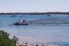 Coffin Bay Oyster beds outdoor dining area