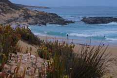 Greenly Beach from the dunes