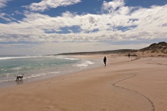 Salmon beach fishing near Coffin Bay