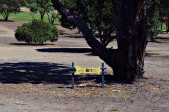 To the 5th tee at Coffin Bay