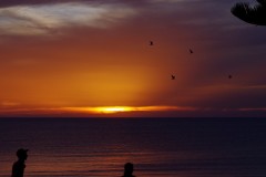 Sensational SA sunsets along the Glenelg Seawall