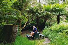 Finchy on the Great Ocean Road