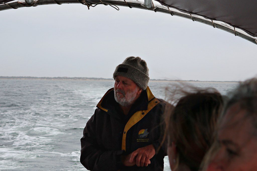 Allan on his sea lion and dolphin eco ocean experience boat