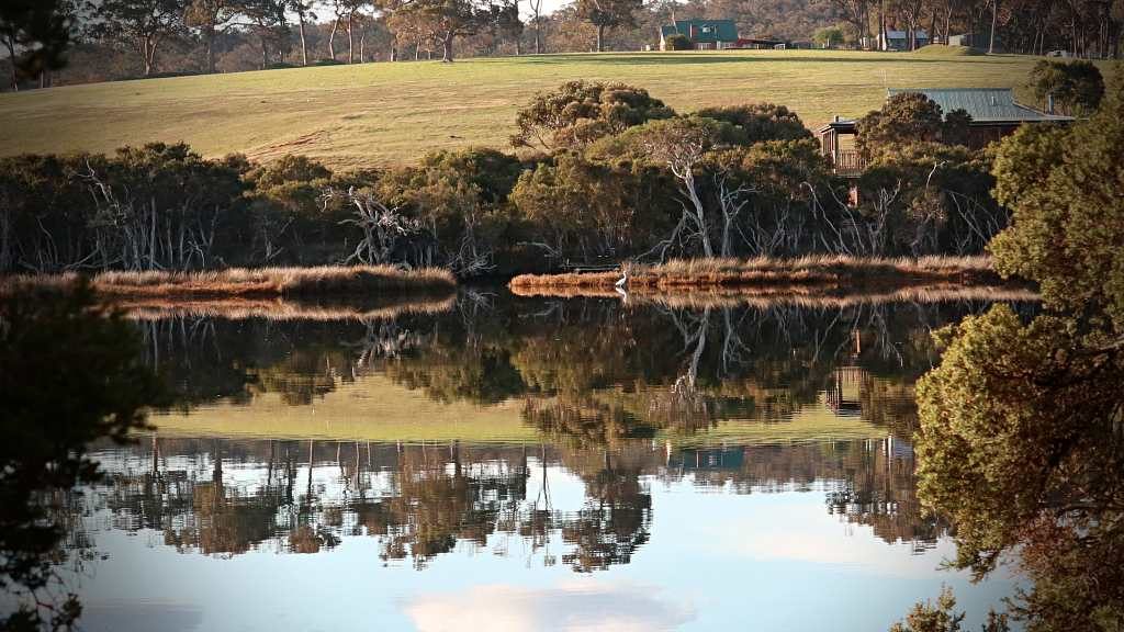 Birdlife and reflections while kayaking the Kalgan River