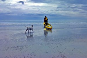 Finchy and Bella kayaking at Southend