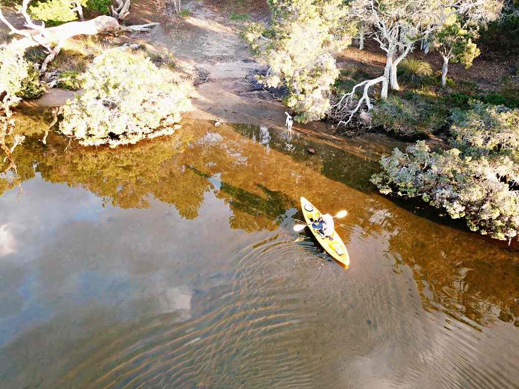 Finchy kayaking the Kalgan River