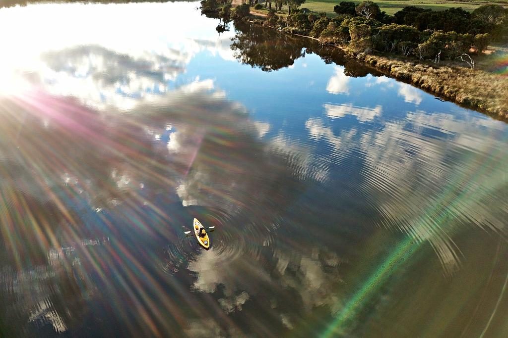 Finchy kayaking the Kalgan River in Albany