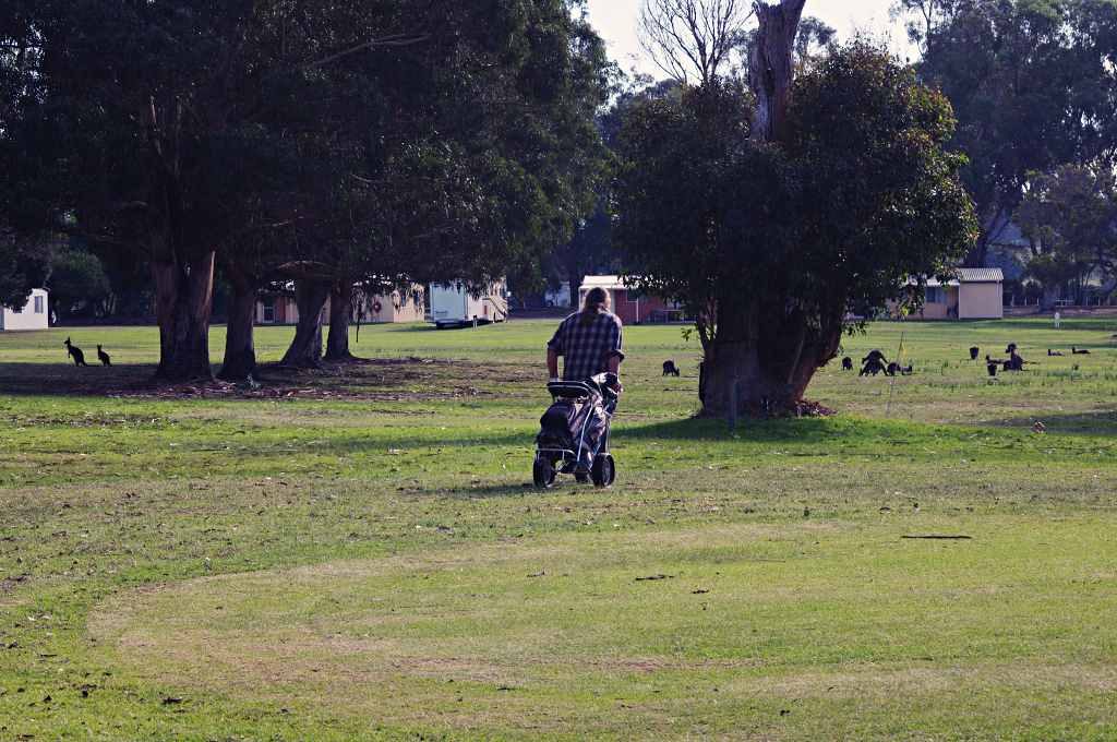 Finchy playing the Kalgan River Caravan Park Golf Course