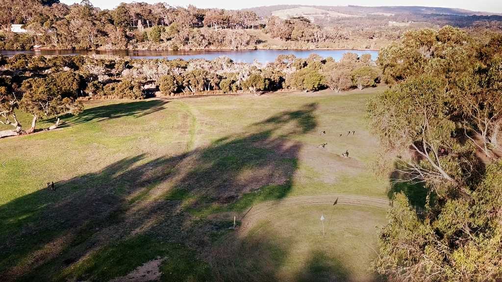 Kalgan River Caravan Park Golf Course and kangaroos