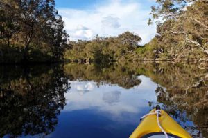 Kayaking the Kalgan River in the winter sun