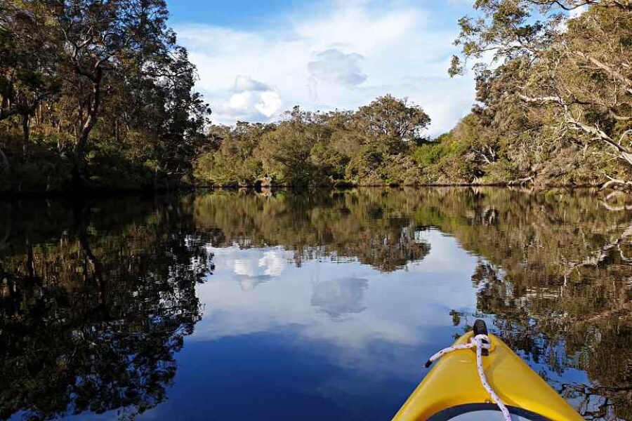 Kayaking the Kalgan River in the winter sun