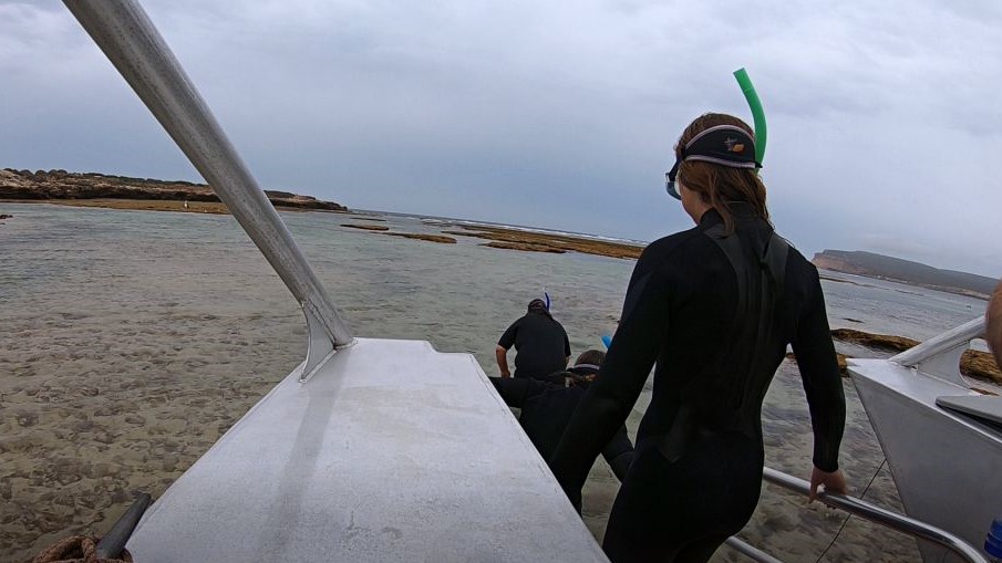 Wet suits on and ready to swim with the sea lions and dolphins at Baird Bay