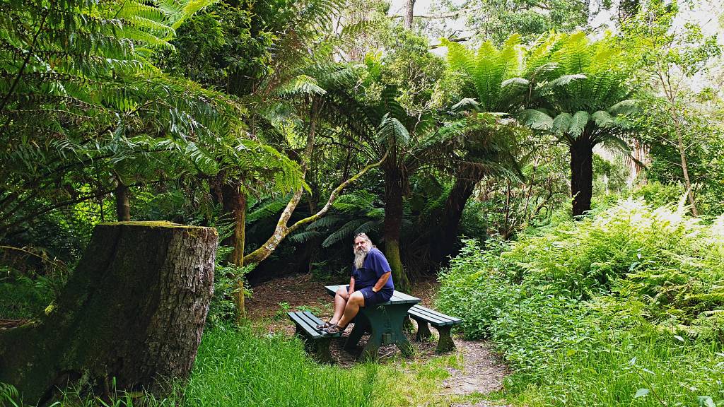 Finchy on the Great Ocean Road