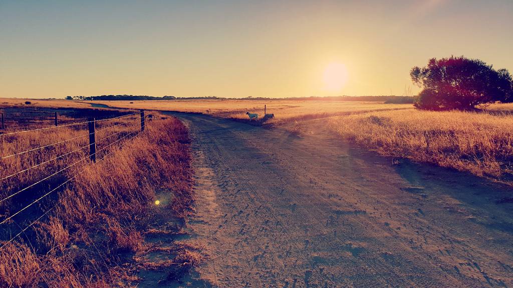 Coodlie Park Farm Stay track