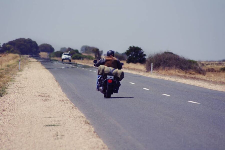 Finchy on the road at Langhorne Creek