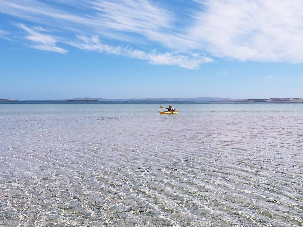 Kayaking in sheltered bays at Port Lincoln