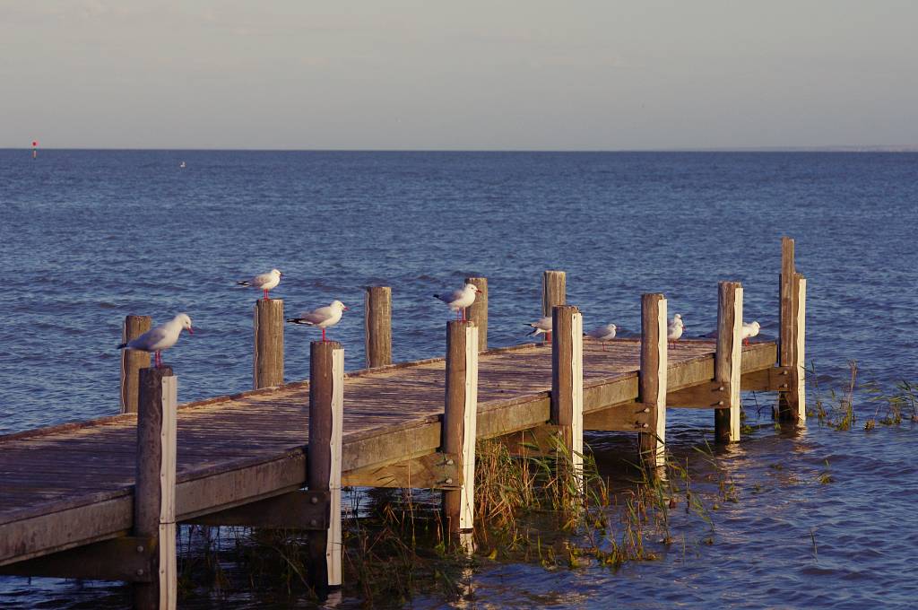 Lake Alexandrina, Milang