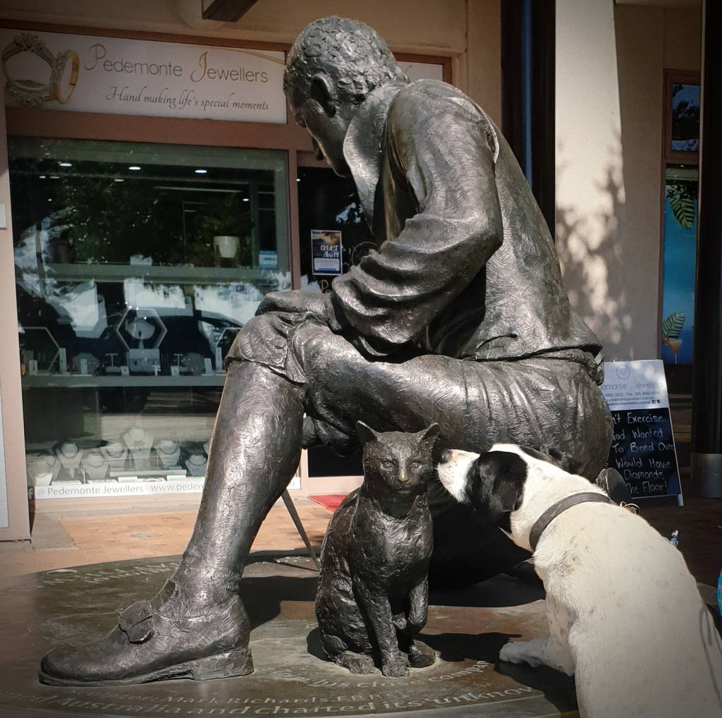 Matthew Flinders cat meets Miss Bella Dog