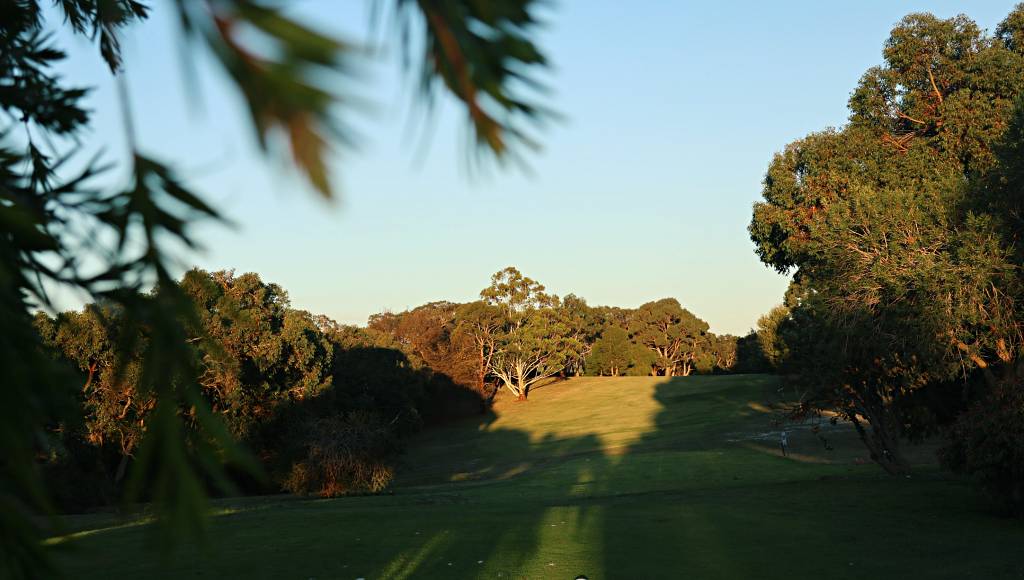 Millicent Golf Club