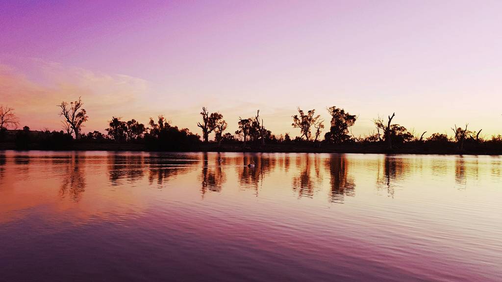 Murray River sunrise