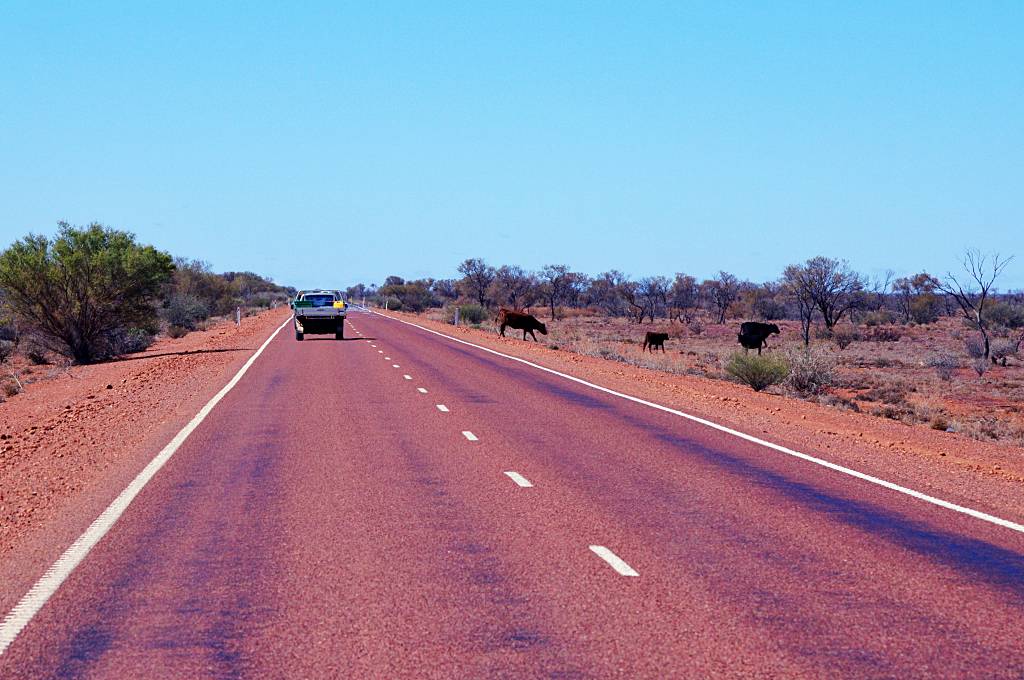 Stuart Hwy, Glendambo