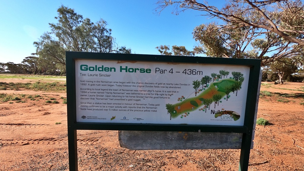 14 Golden Horse Norseman