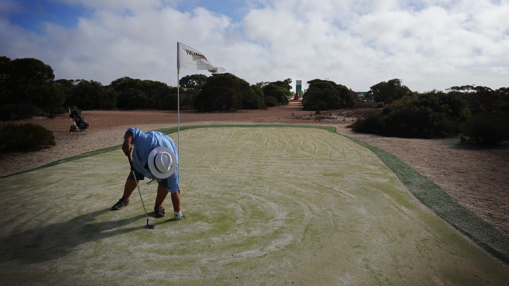 6 Border Kangaroo Par 3 160m