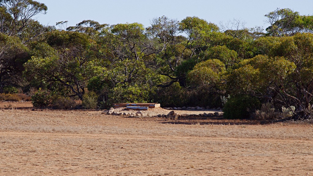 7 Nullarbor Nymph Par 4 315m