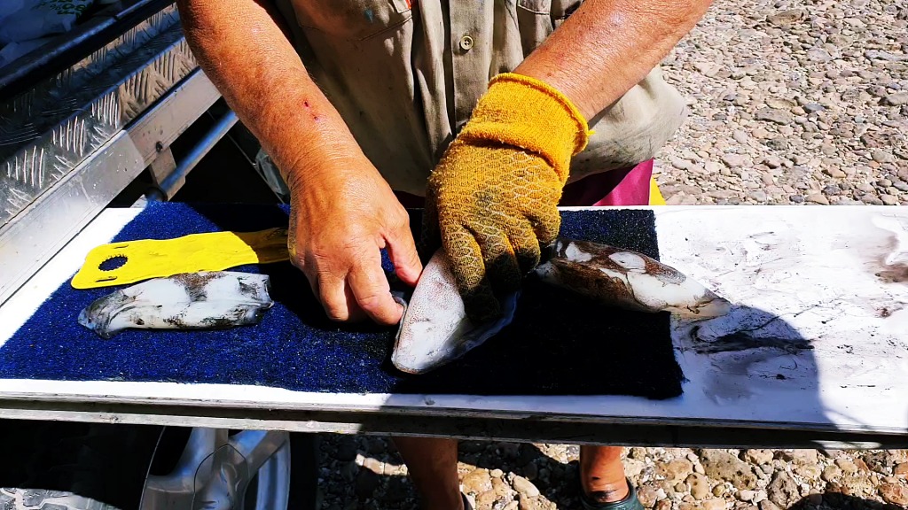 Preparation of fresh squid