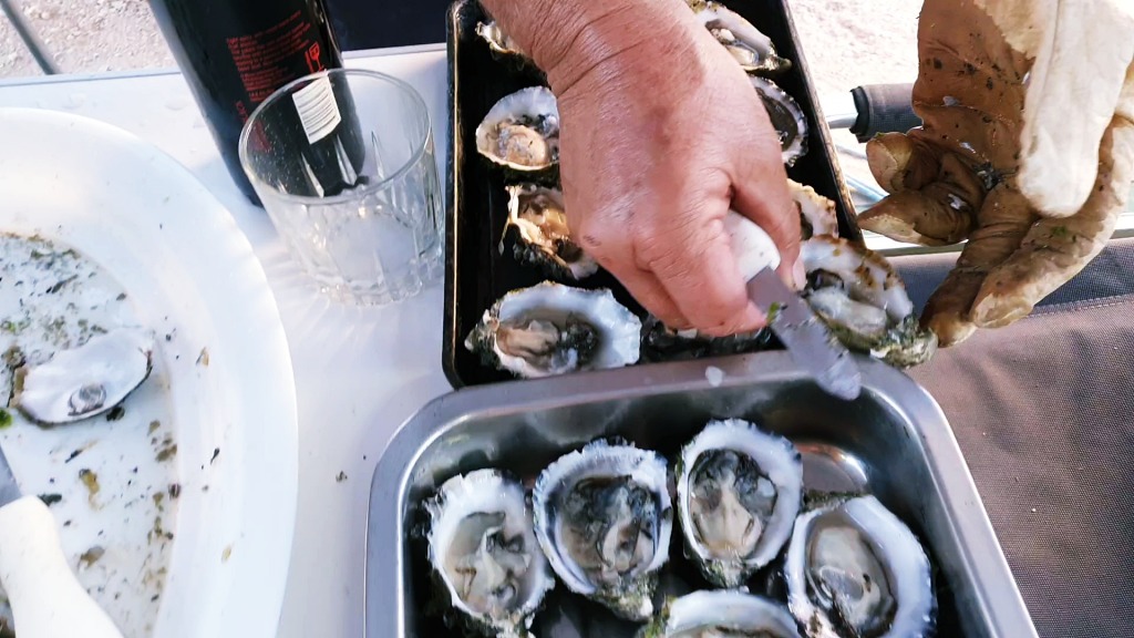 Shucking fresh oysters