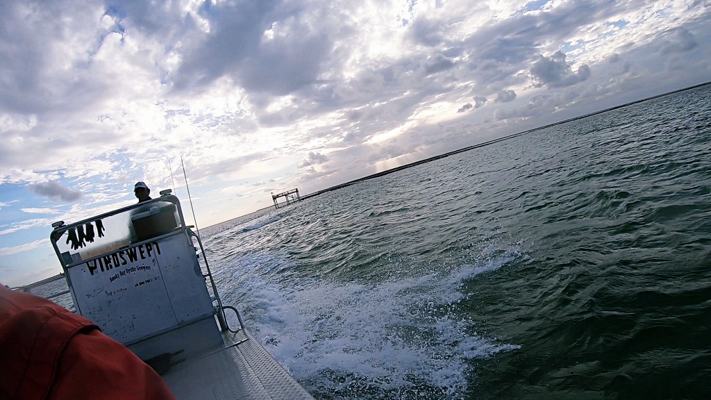 Smoky Bay Oyster Tour