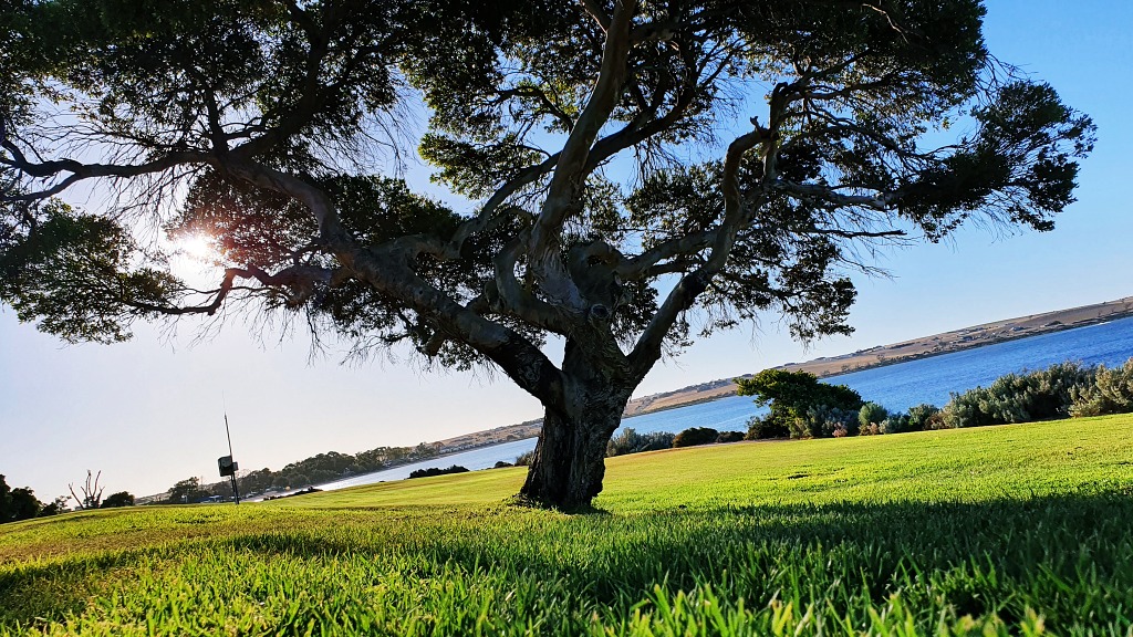 Walking tracks through Streaky Bay