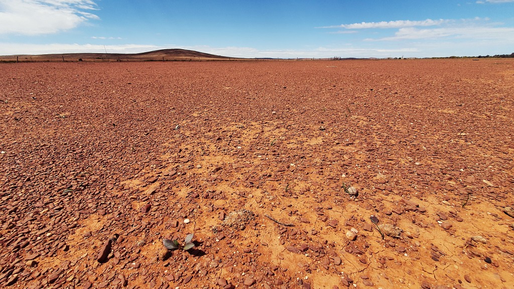 Dry red earth in drought Flinders Ranges