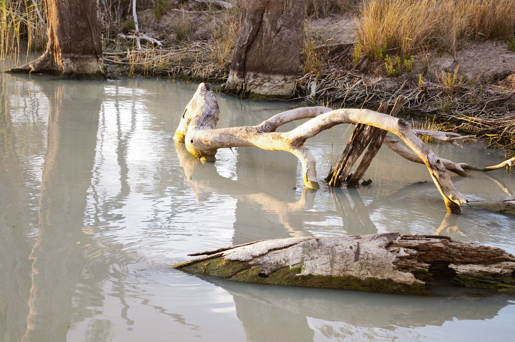 Snags to be aware of in the river