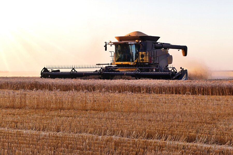 Wheat Harvesting in Australia Finchy's Australia