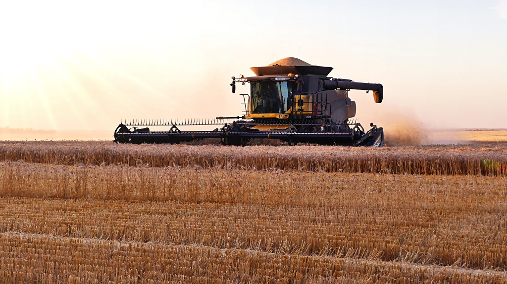 Wheat Harvesting in Australia Finchy's Australia