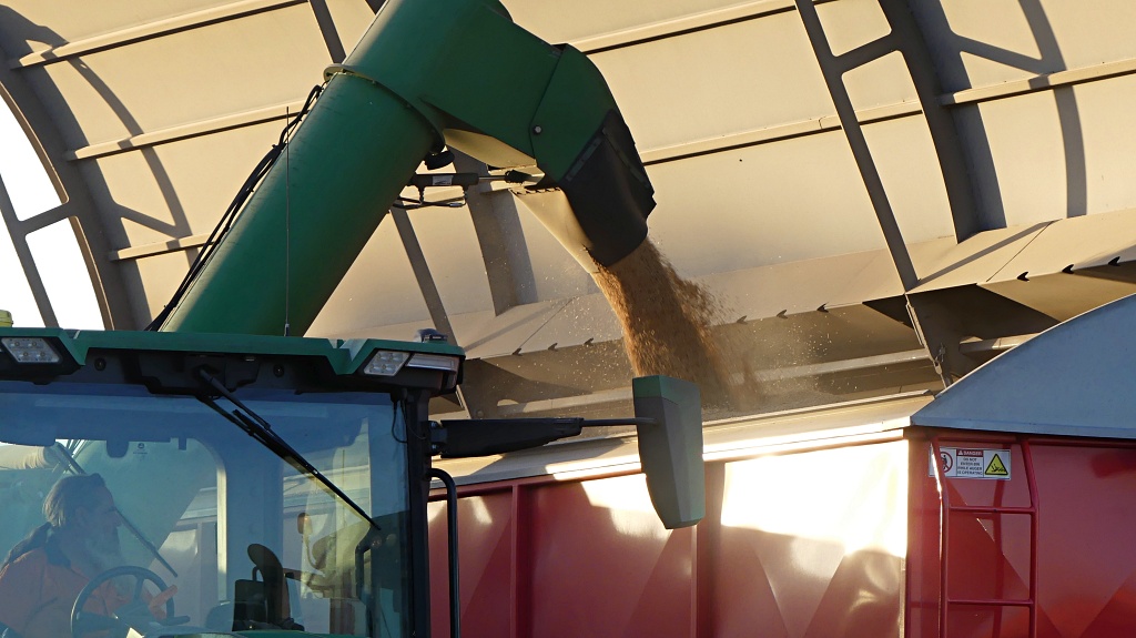 Filling the huge bin with grain