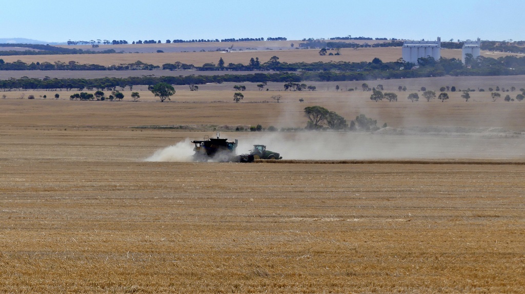 Wheat harvester and chaser bin with silos in the distance