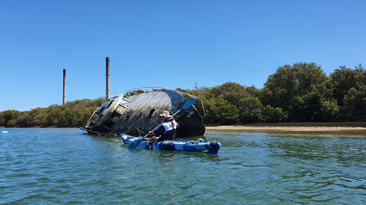 Dolphin Sanctuary Kayak Tour Guide