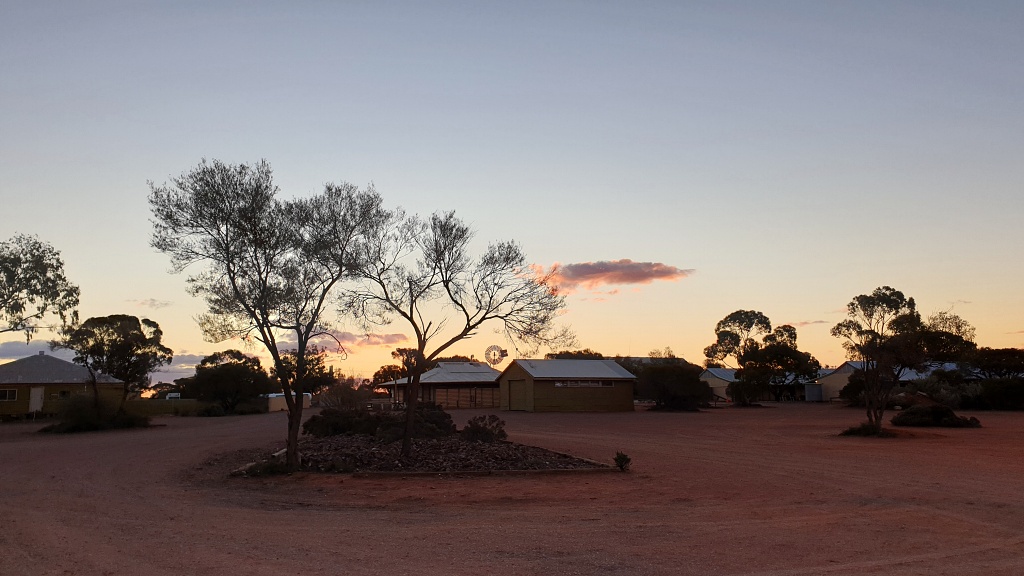 Glendambo campground