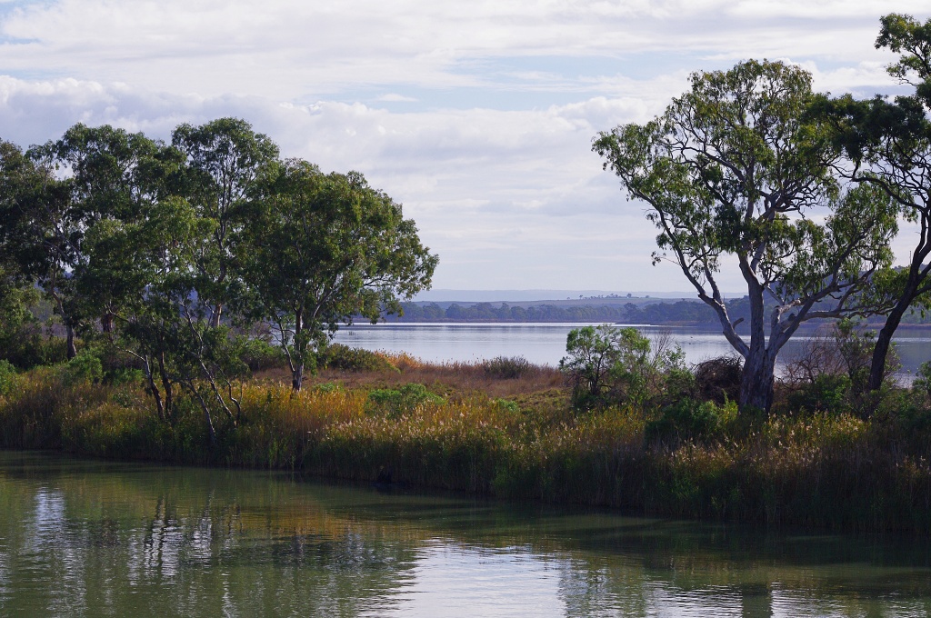 River Murray backwaters